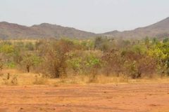 1_31289925_1733760610016653_4340659331348299776_n