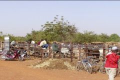 Image du marché à bétail