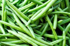 1_haricot-vert-burkina-faso