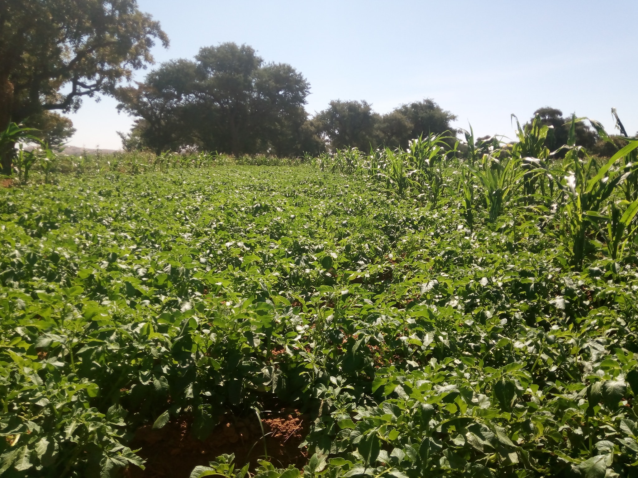 Les potentialités de la commune